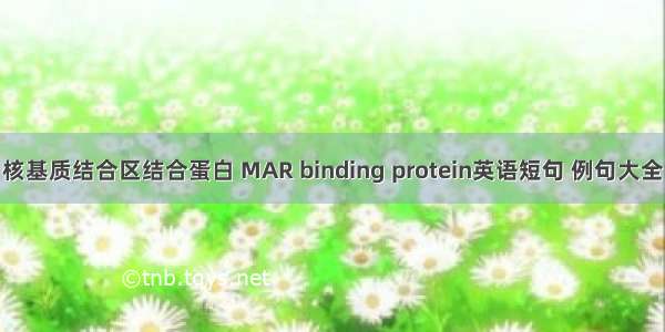 核基质结合区结合蛋白 MAR binding protein英语短句 例句大全