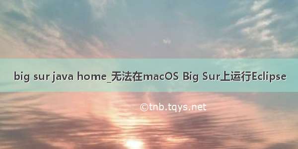 big sur java home_无法在macOS Big Sur上运行Eclipse