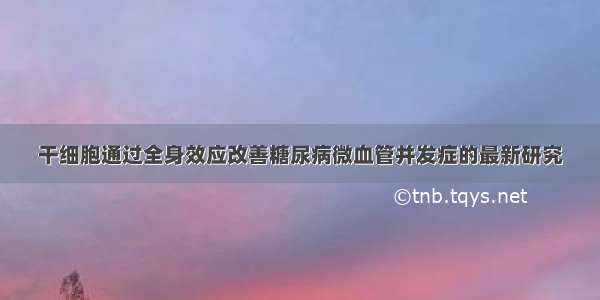 干细胞通过全身效应改善糖尿病微血管并发症的最新研究