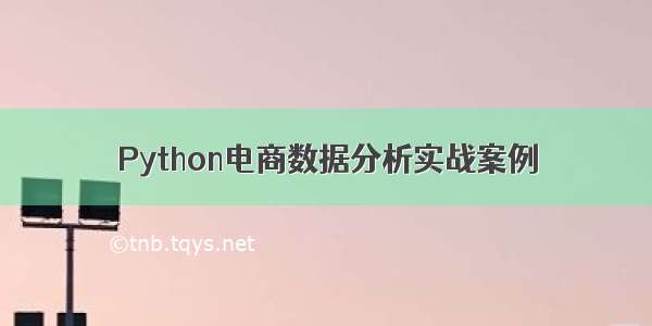 Python电商数据分析实战案例