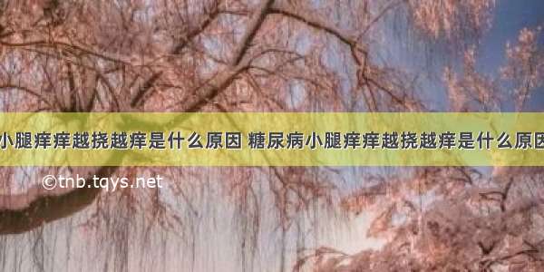 小腿痒痒越挠越痒是什么原因 糖尿病小腿痒痒越挠越痒是什么原因