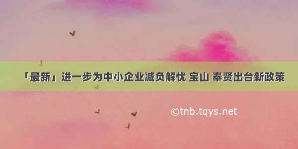 「最新」进一步为中小企业减负解忧 宝山 奉贤出台新政策