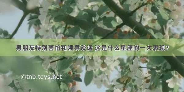 男朋友特别害怕和领导谈话 这是什么星座的一大表现？