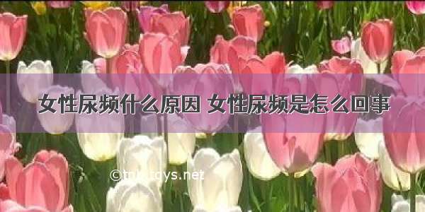 女性尿频什么原因 女性尿频是怎么回事