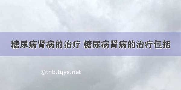 糖尿病肾病的治疗 糖尿病肾病的治疗包括