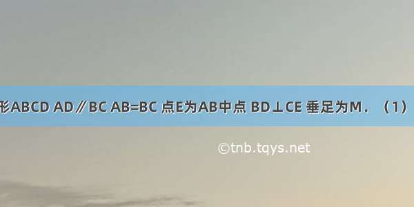 如图 直角梯形ABCD AD∥BC AB=BC 点E为AB中点 BD⊥CE 垂足为M．（1）求证：CM=4