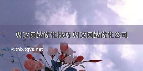 巩义网站优化技巧 巩义网站优化公司