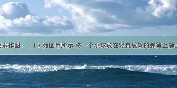 按照题目要求作图：（1）如图甲所示 将一个小球放在竖直放置的弹簧上静止 请在图上