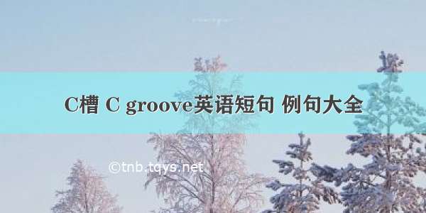 C槽 C groove英语短句 例句大全