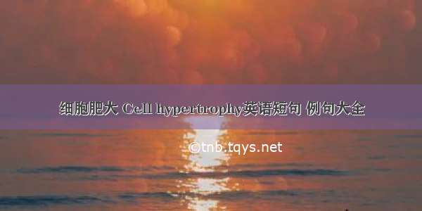 细胞肥大 Cell hypertrophy英语短句 例句大全