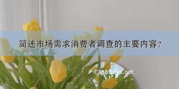 简述市场需求消费者调查的主要内容？