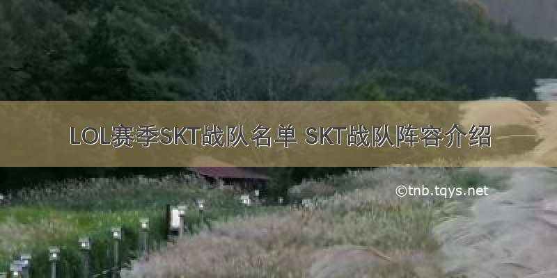 LOL赛季SKT战队名单 SKT战队阵容介绍