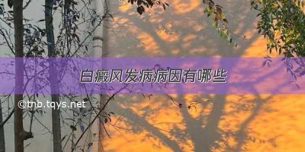 白癜风发病病因有哪些