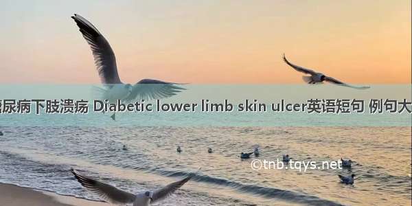 糖尿病下肢溃疡 Diabetic lower limb skin ulcer英语短句 例句大全