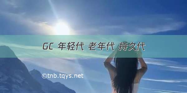 GC 年轻代 老年代 持久代