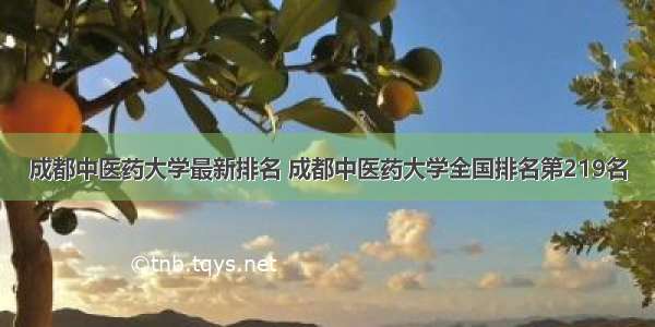 成都中医药大学最新排名 成都中医药大学全国排名第219名