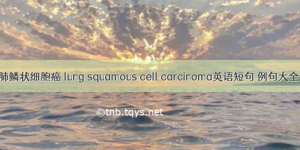 肺鳞状细胞癌 lung squamous cell carcinoma英语短句 例句大全