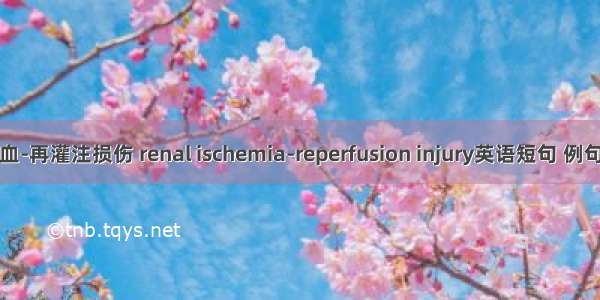 肾缺血-再灌注损伤 renal ischemia-reperfusion injury英语短句 例句大全