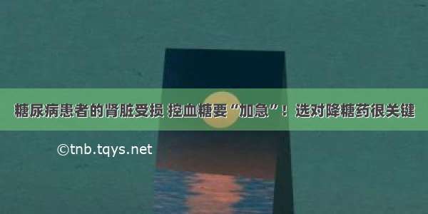 糖尿病患者的肾脏受损 控血糖要“加急”！选对降糖药很关键