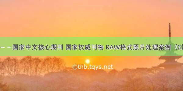 照相机杂志 －－国家中文核心期刊 国家权威刊物 RAW格式照片处理案例（3）佳能Digit...