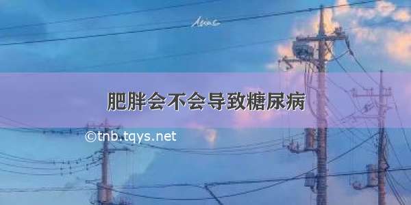 肥胖会不会导致糖尿病