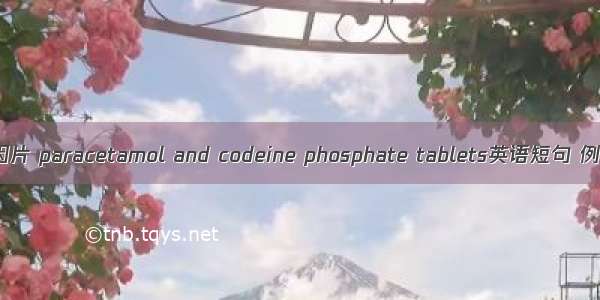 氨酚待因片 paracetamol and codeine phosphate tablets英语短句 例句大全