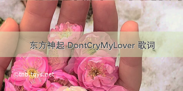 东方神起 DontCryMyLover 歌词