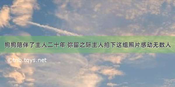 狗狗陪伴了主人二十年 弥留之际主人拍下这组照片感动无数人