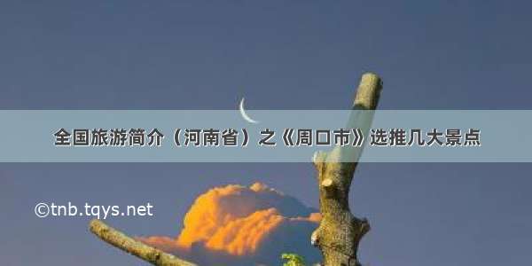 全国旅游简介（河南省）之《周口市》选推几大景点