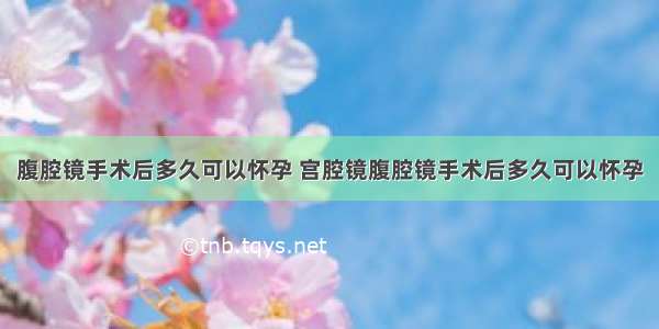 腹腔镜手术后多久可以怀孕 宫腔镜腹腔镜手术后多久可以怀孕