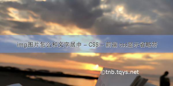 img图片怎么和文字居中 – CSS – 前端 css显示省略符