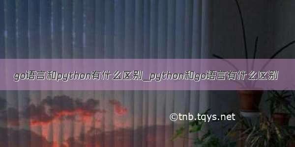 go语言和python有什么区别_python和go语言有什么区别