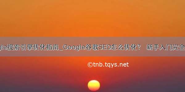 google搜索引擎优化指南_Google谷歌SEO怎么优化？｜新手入门完全指南