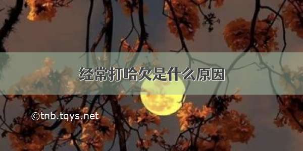 经常打哈欠是什么原因