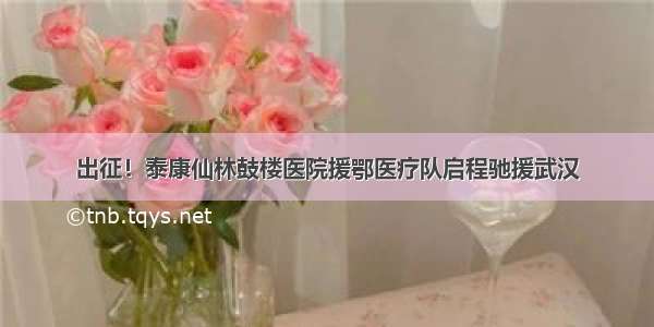 出征！泰康仙林鼓楼医院援鄂医疗队启程驰援武汉