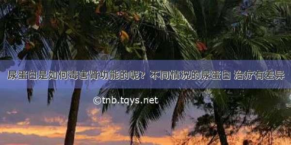 尿蛋白是如何毒害肾功能的呢？不同情况的尿蛋白 治疗有差异