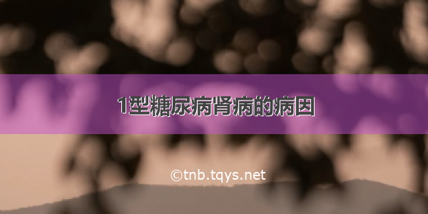 1型糖尿病肾病的病因