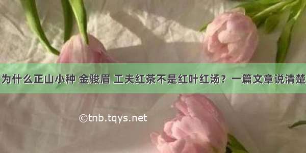 为什么正山小种 金骏眉 工夫红茶不是红叶红汤？一篇文章说清楚