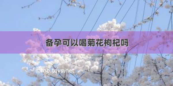 备孕可以喝菊花枸杞吗