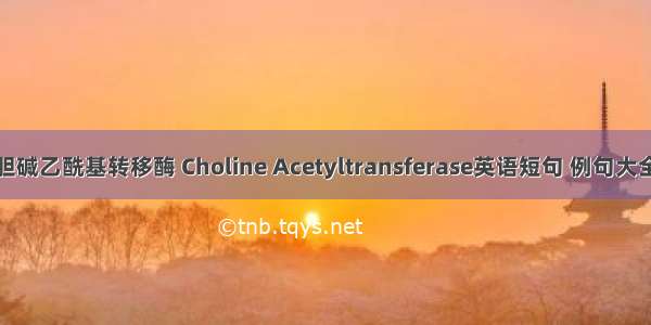 胆碱乙酰基转移酶 Choline Acetyltransferase英语短句 例句大全