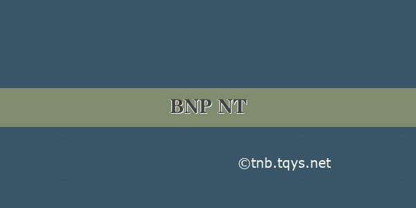 BNP NT