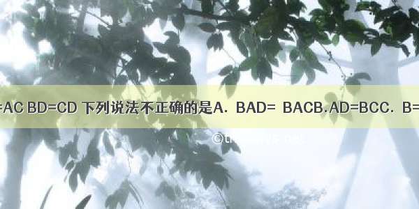 如图 △ABC中 AB=AC BD=CD 下列说法不正确的是A.∠BAD=∠BACB.AD=BCC.∠B=∠CD.AD⊥BC