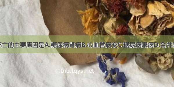 1型糖尿病死亡的主要原因是A.糖尿病肾病B.心血管病变C.糖尿病眼病D.合并感染E.糖尿病