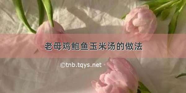 老母鸡鲍鱼玉米汤的做法