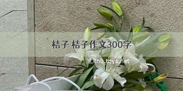 桔子 桔子作文300字