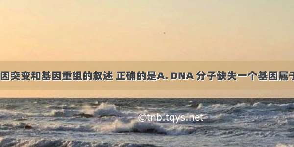 下列有关基因突变和基因重组的叙述 正确的是A. DNA 分子缺失一个基因属于基因突变B