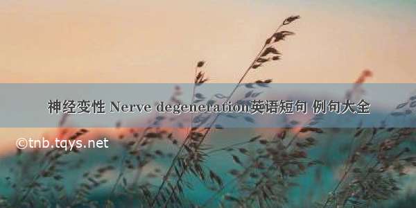 神经变性 Nerve degeneration英语短句 例句大全