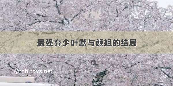 最强弃少叶默与颜姐的结局