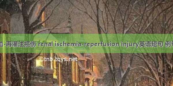 肾缺血-再灌注损伤 renal ischemia-reperfusion injury英语短句 例句大全