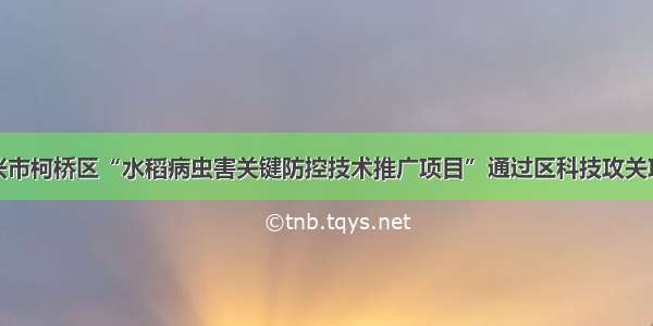 浙江绍兴市柯桥区“水稻病虫害关键防控技术推广项目”通过区科技攻关项目验收